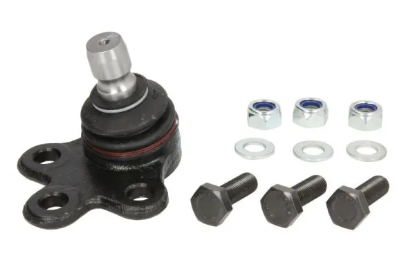 REINHOCH RH035019