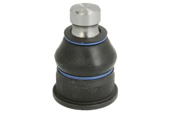 REINHOCH RH032005
