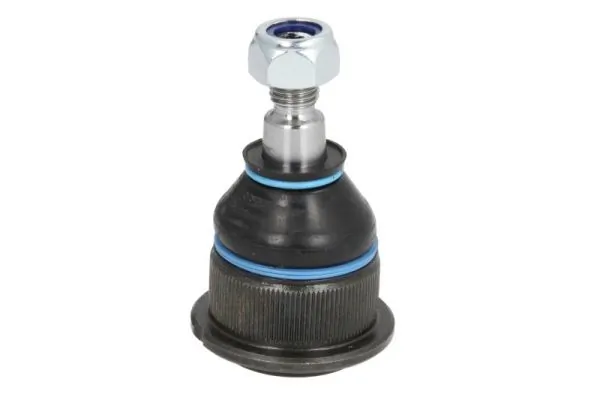 REINHOCH RH033005