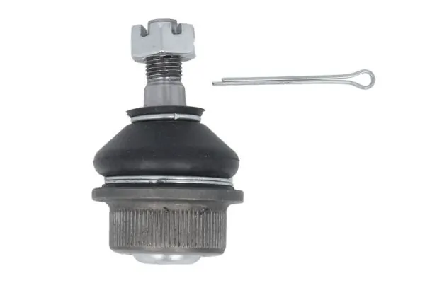 REINHOCH RH578004