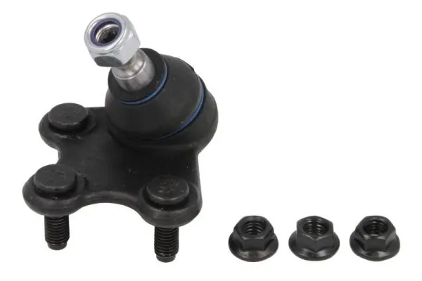REINHOCH RH030023