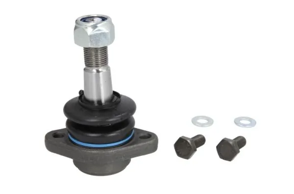 REINHOCH RH030032