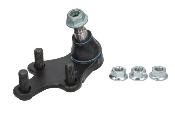 REINHOCH RH032046
