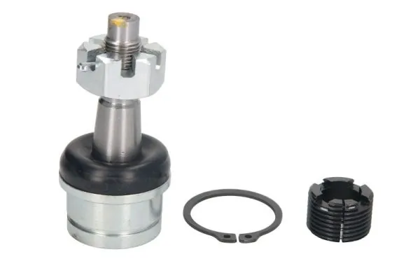 REINHOCH RH036004
