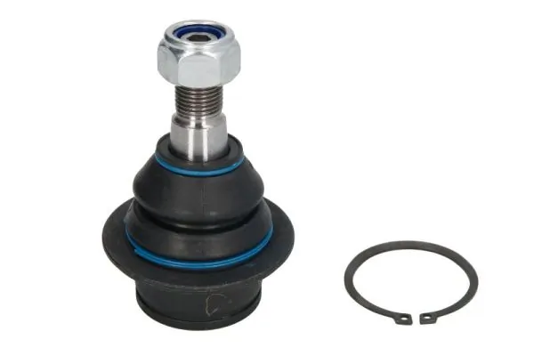 REINHOCH RH034008