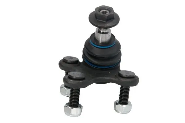 REINHOCH RH030024