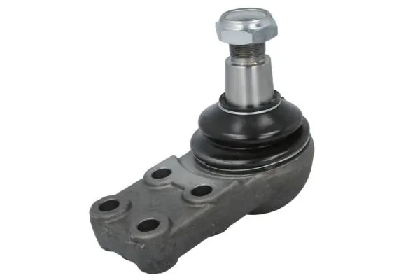 REINHOCH RH549003