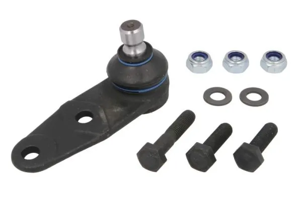 REINHOCH RH032003