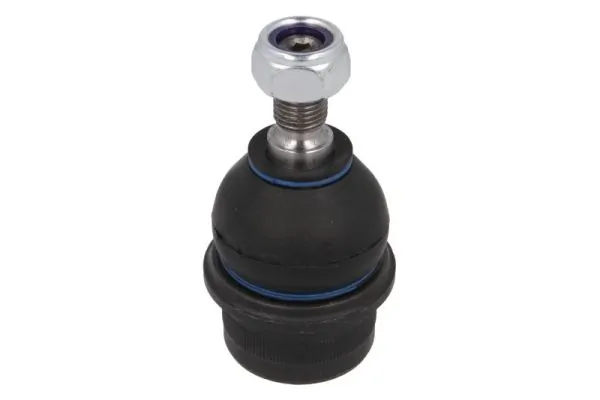 REINHOCH RH033008