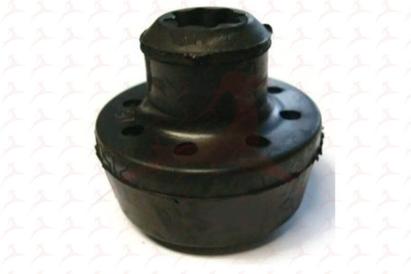 Renault 215063995R