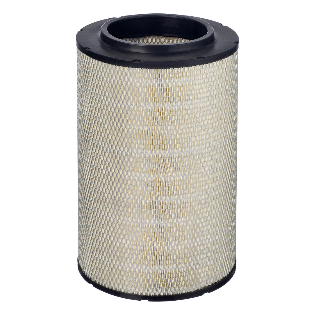 Hengst E2065L