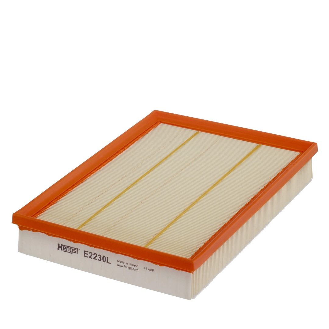 Hengst E2230L