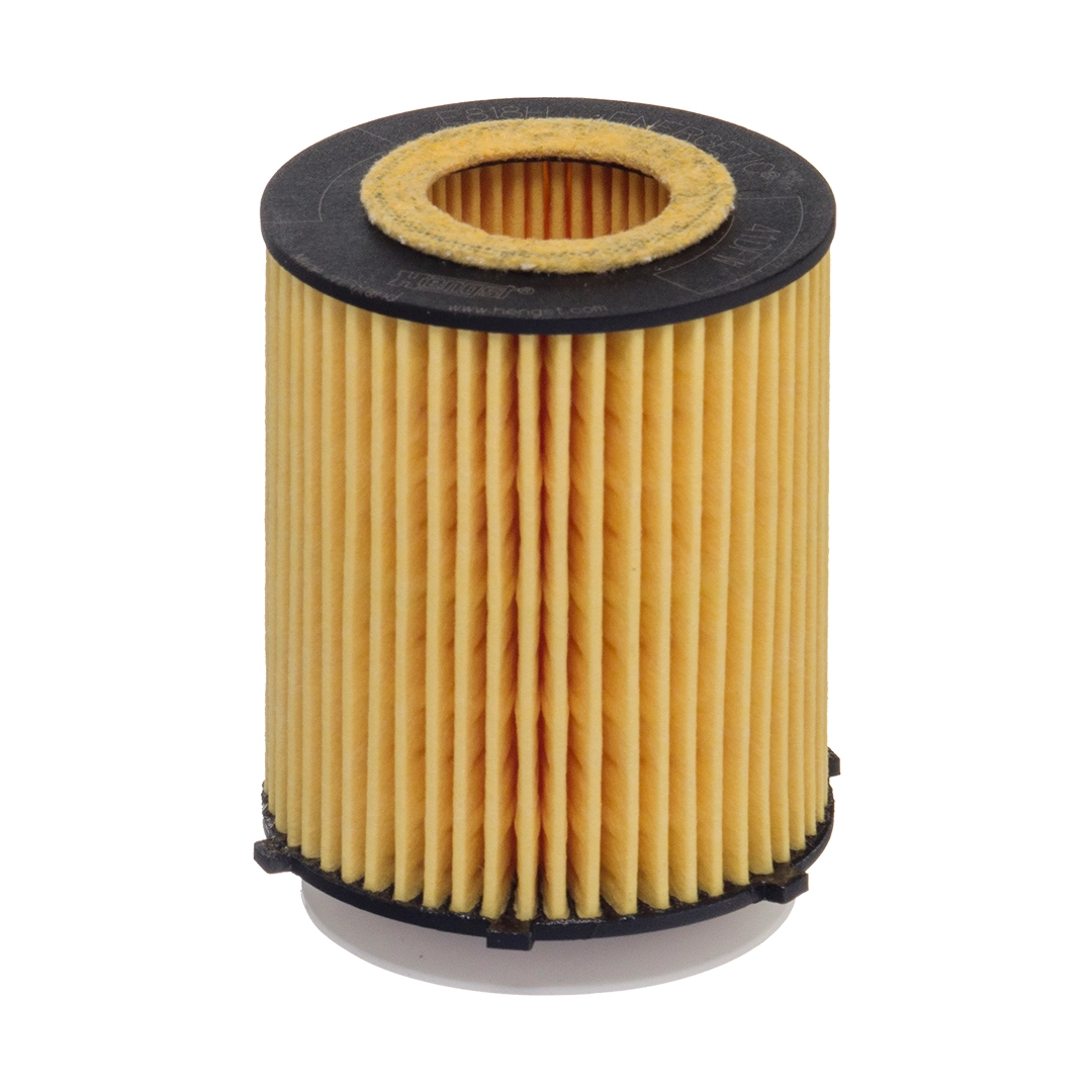 Hengst E818HD238