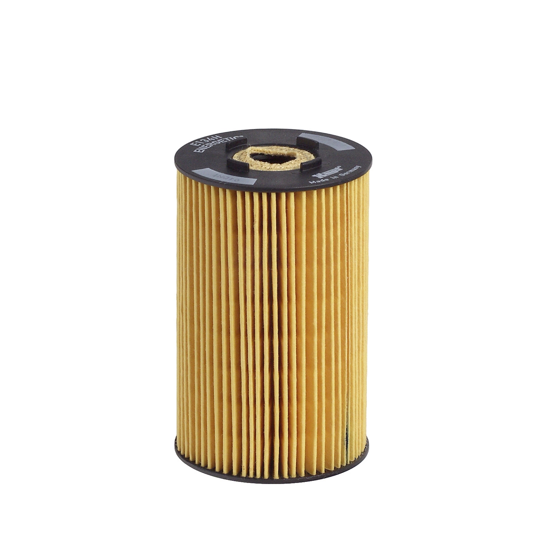 Hengst E134HD31