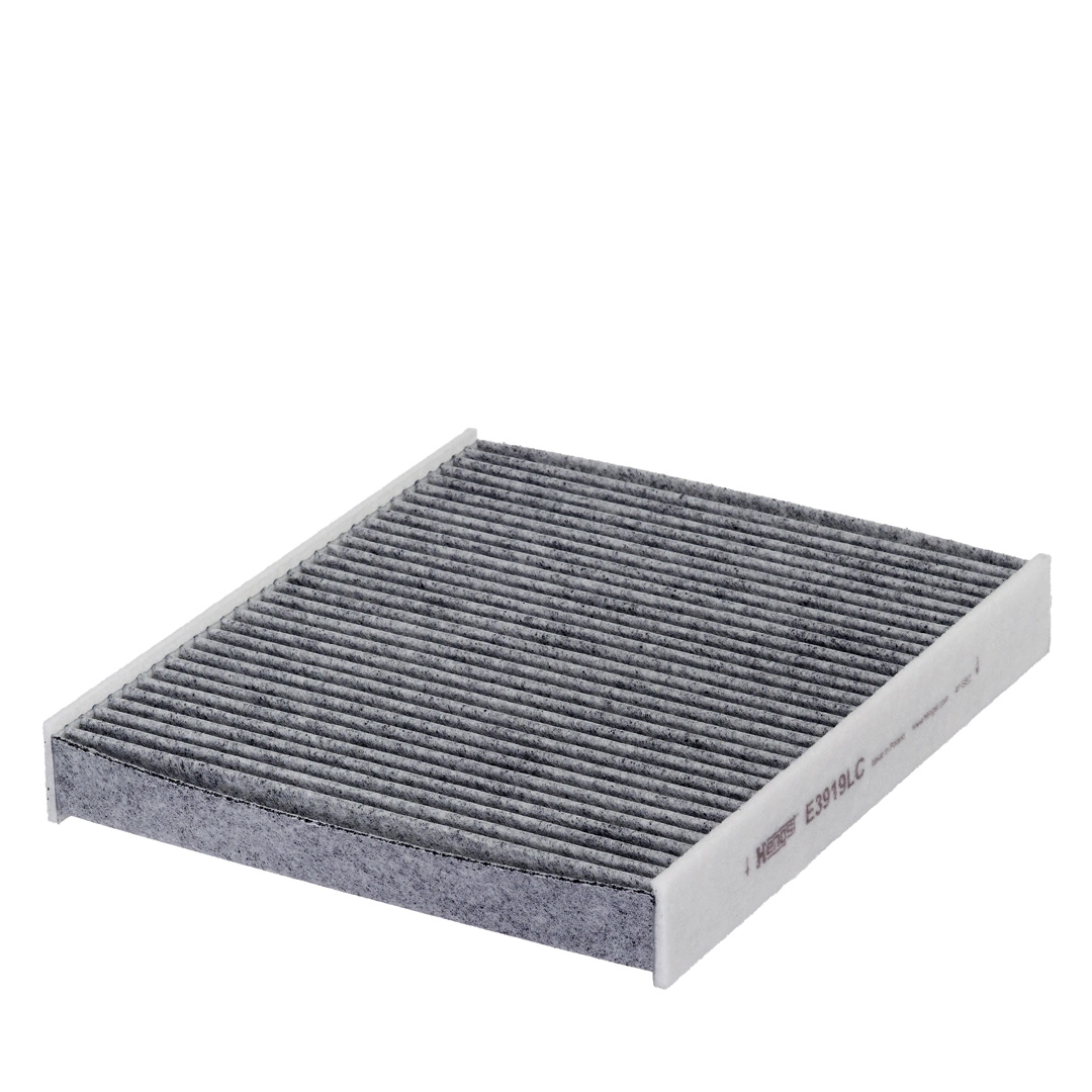 Hengst E3919LC