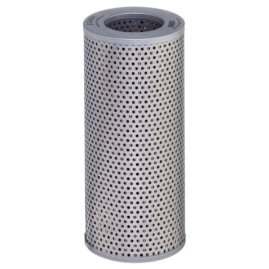 Hengst EG49H