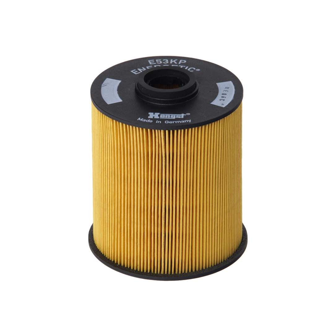 Hengst E53KPD61