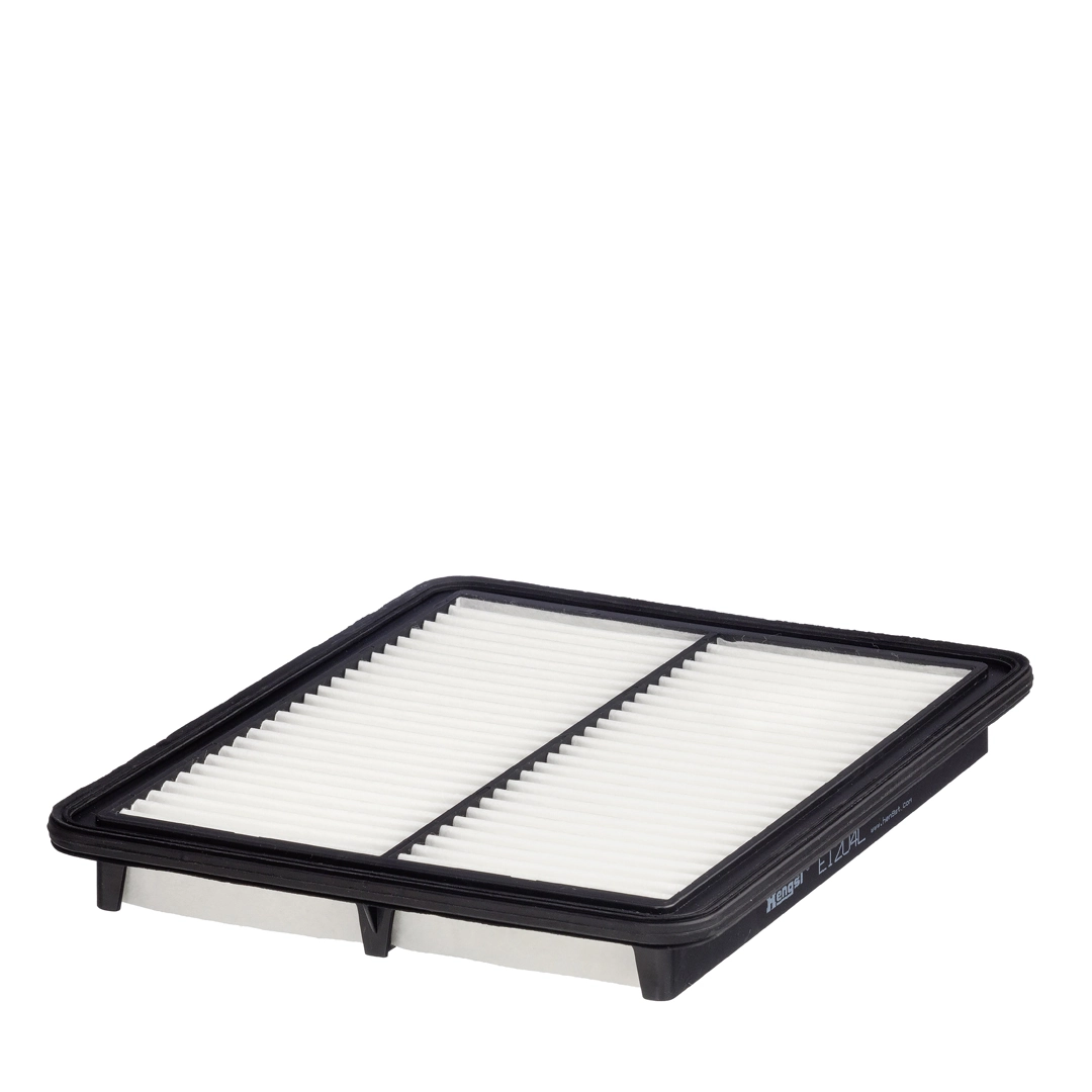 Hengst E1204L
