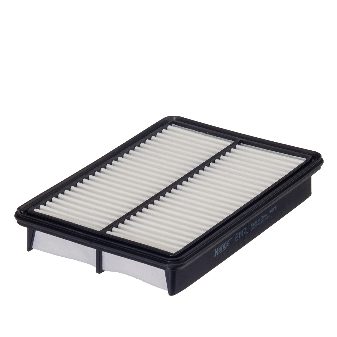 Hengst E1117L