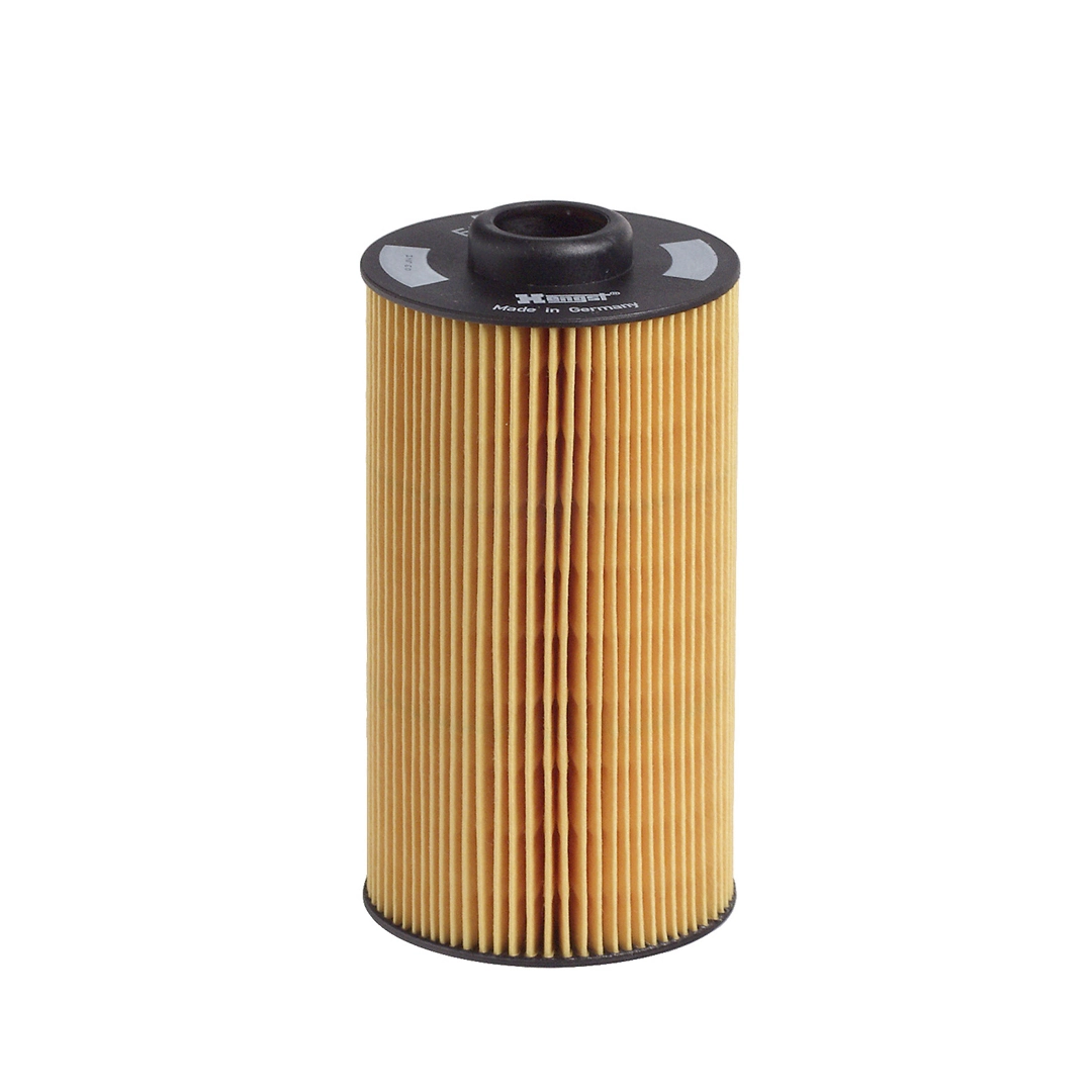 Hengst E202H01D34