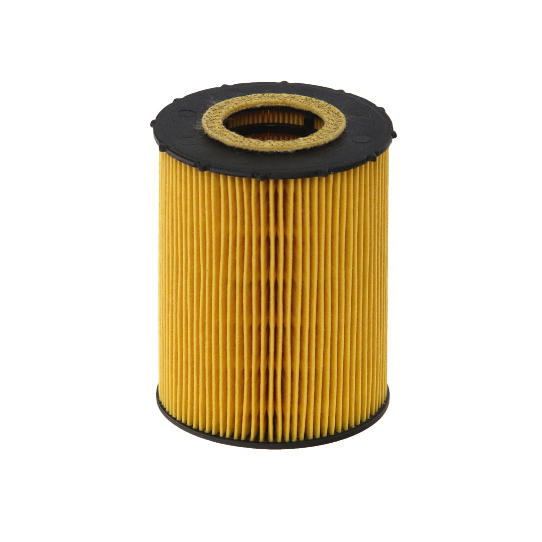 Hengst E203H04D67