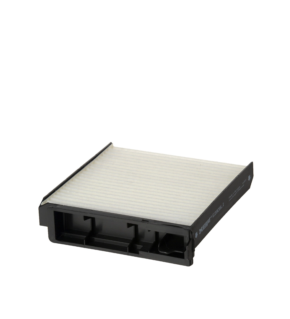 Hengst E2905LI