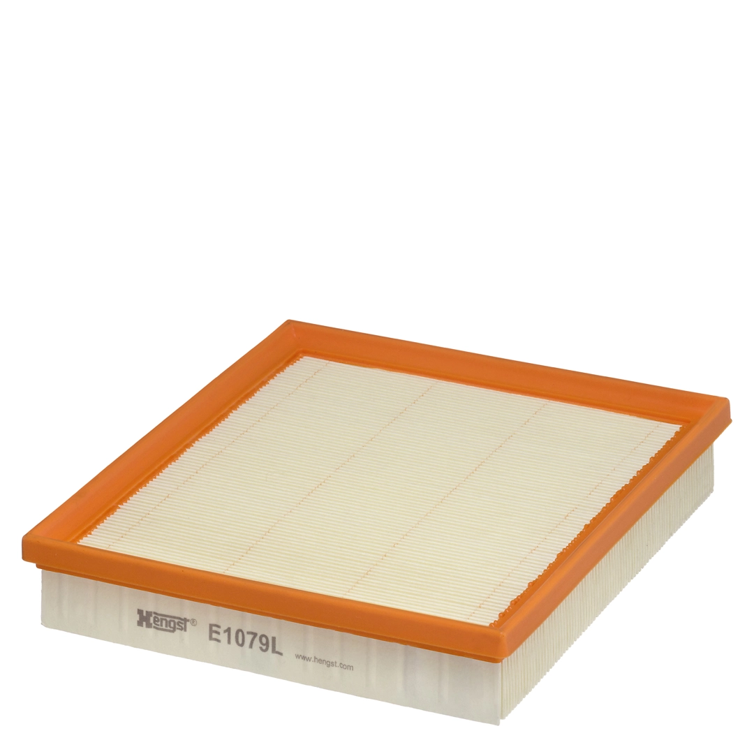 Hengst E1079L