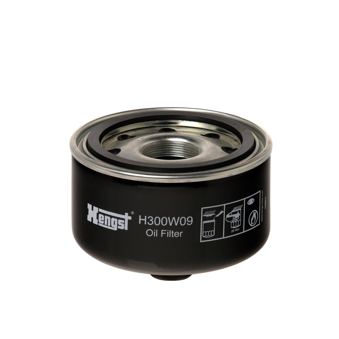 Hengst H300W09