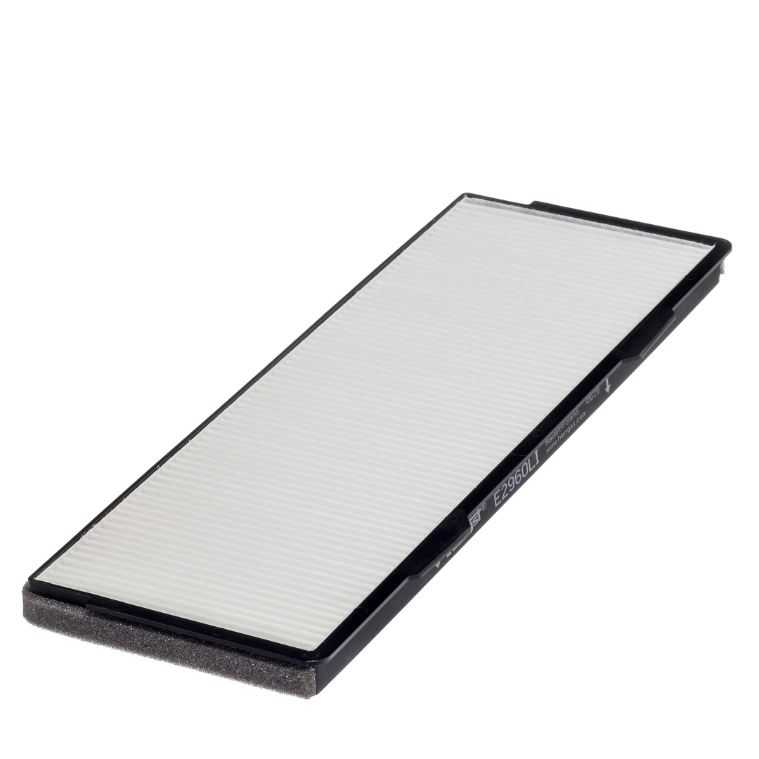 Hengst E2960LI