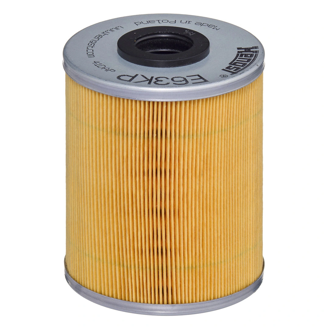 Hengst E63KPD78