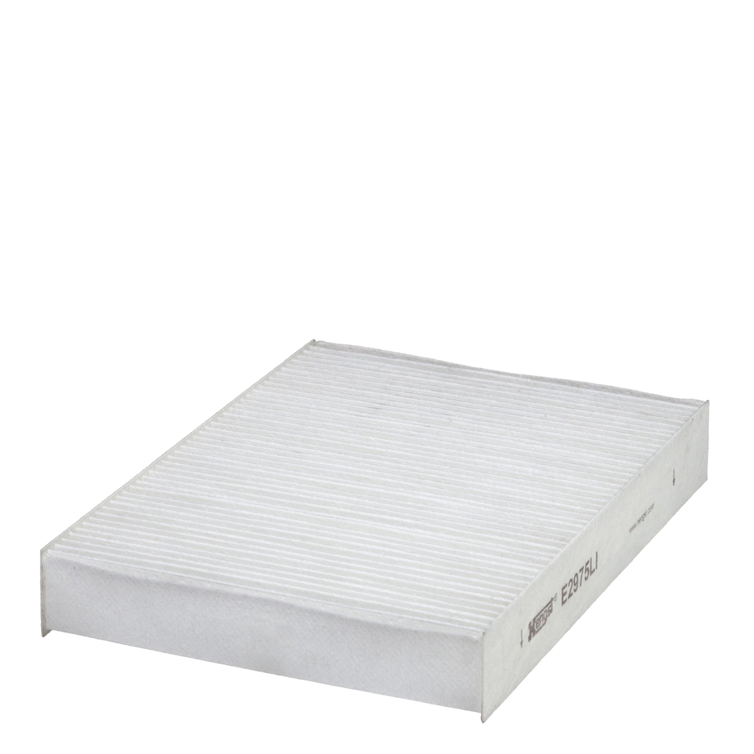 Hengst E2975LI