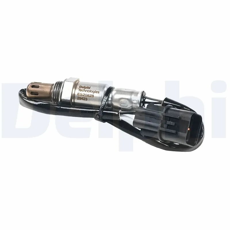 DELPHI ES2082812B1