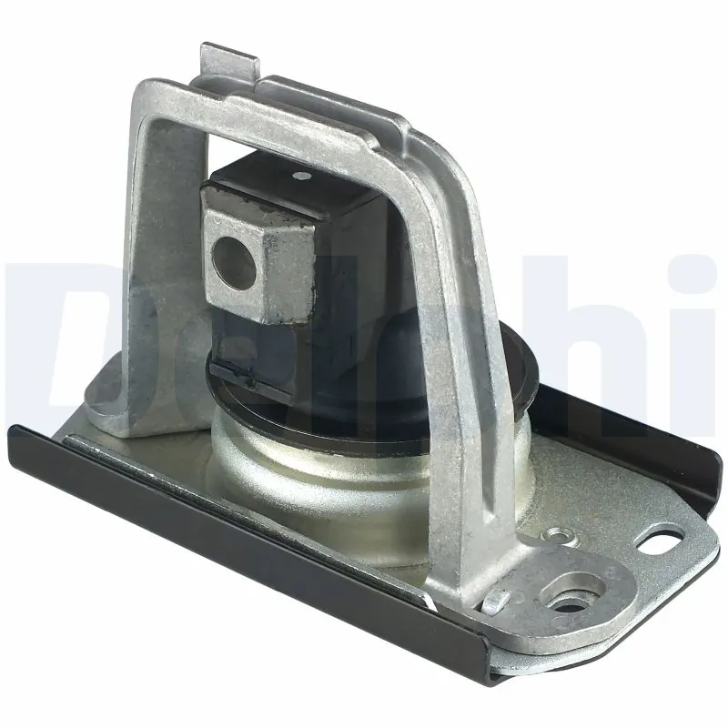 DELPHI TEM043