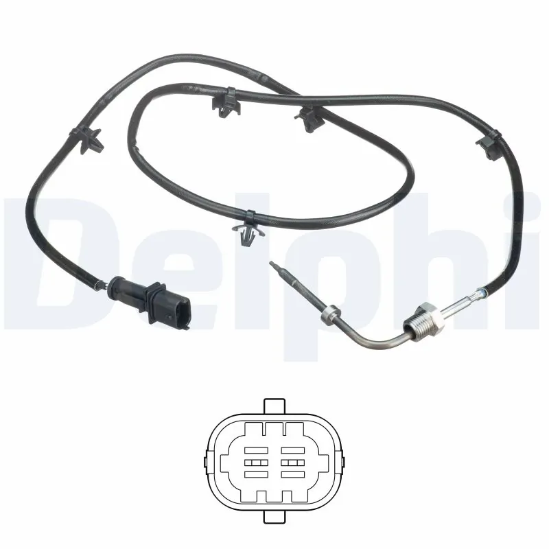 DELPHI TS30243
