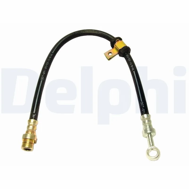 DELPHI LH5165