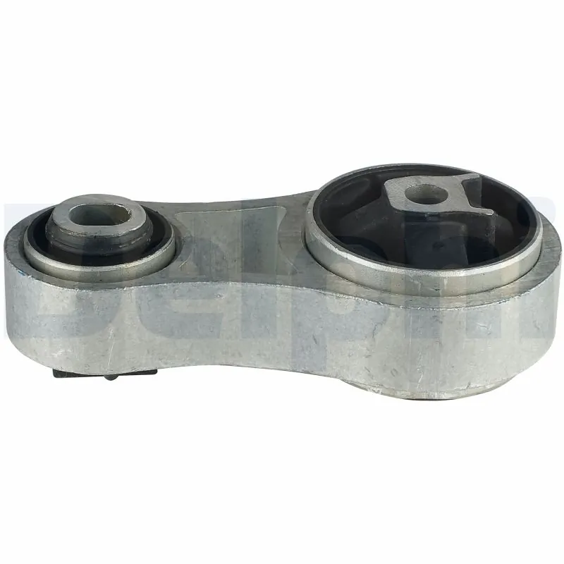 DELPHI TEM024