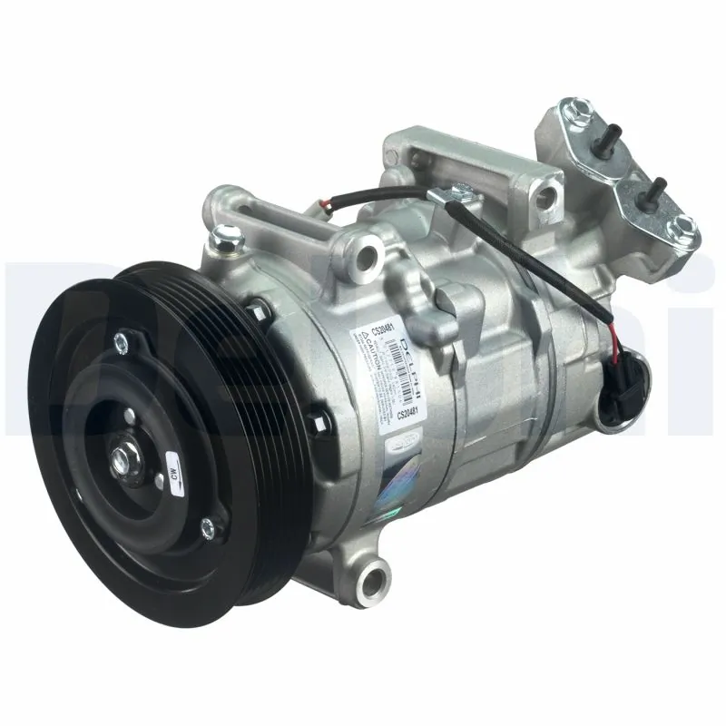 DELPHI CS20481