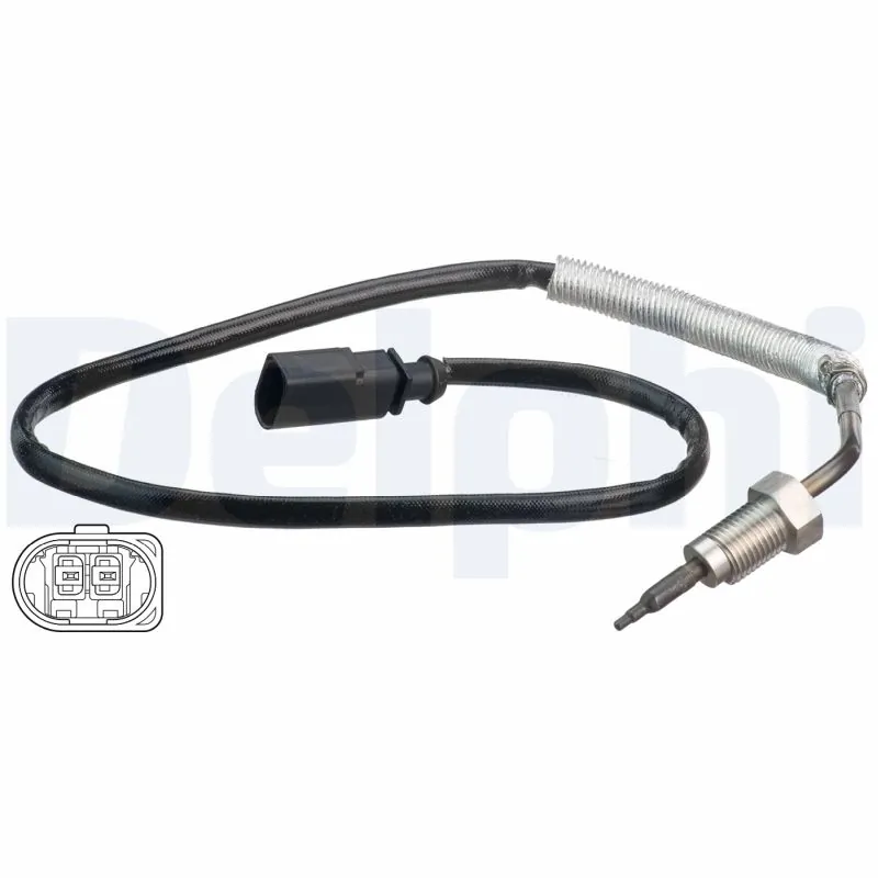 DELPHI TS30176