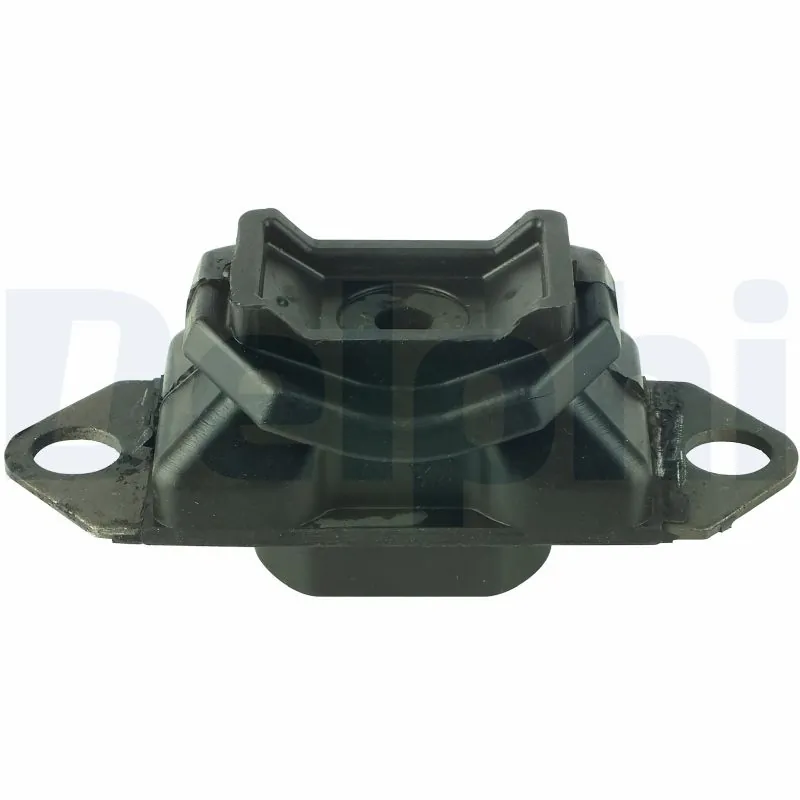 DELPHI TEM028