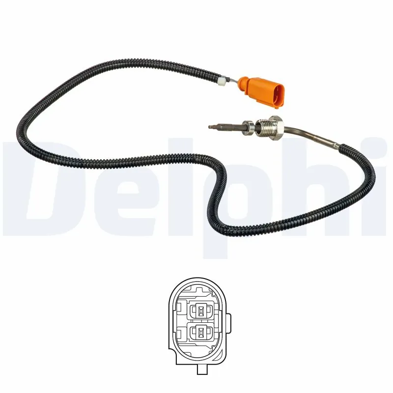 DELPHI TS30106