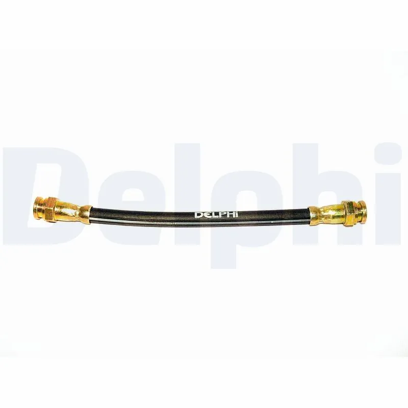 DELPHI LH0318