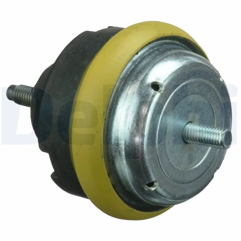 DELPHI TEM113