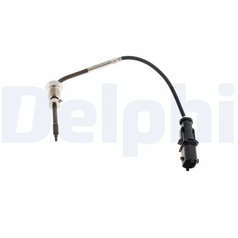 DELPHI TS30167