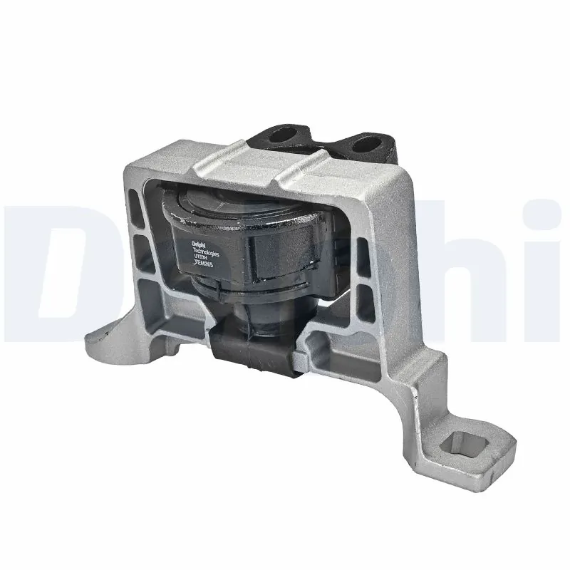 DELPHI TEM265