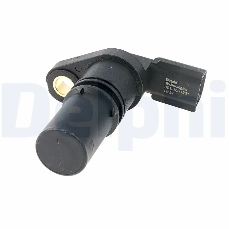 DELPHI SS2130312B1