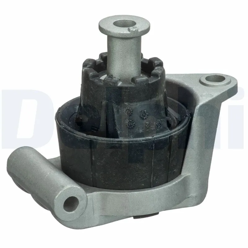 DELPHI TEM091