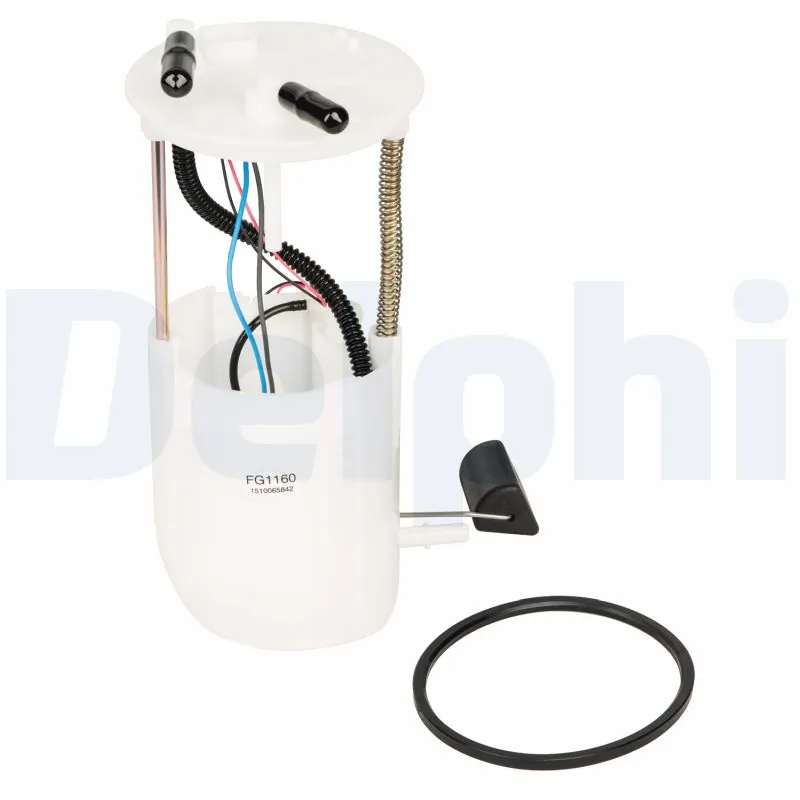 DELPHI FG116012B1