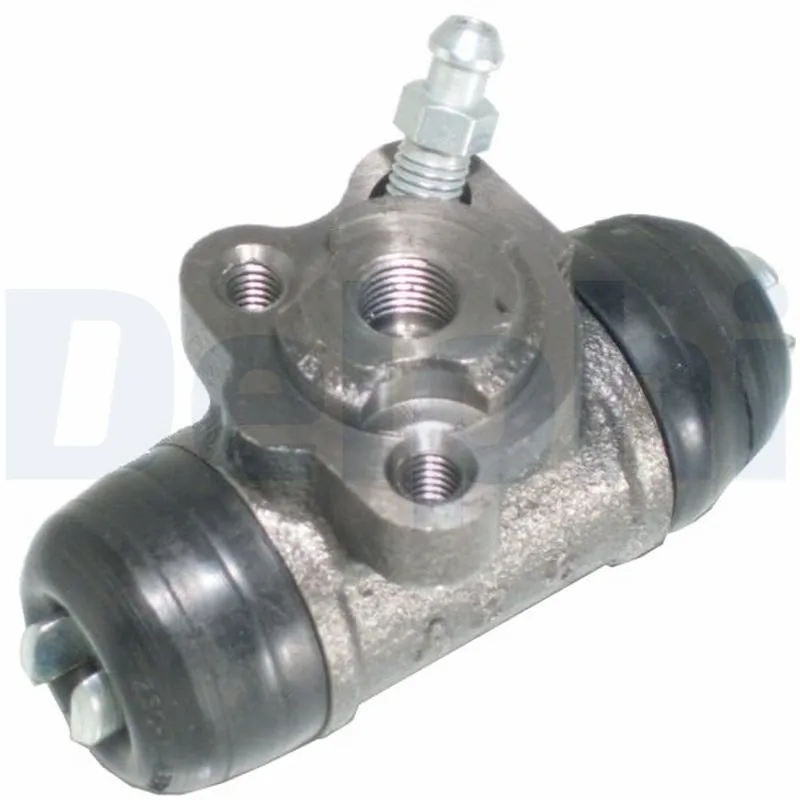 DELPHI LW61166