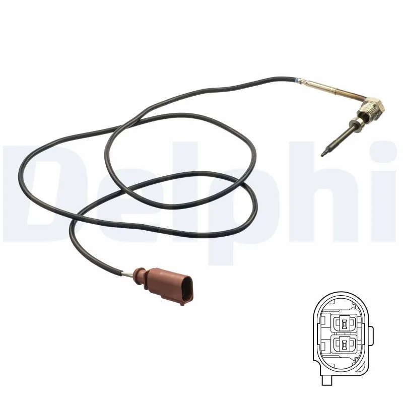 DELPHI TS30174