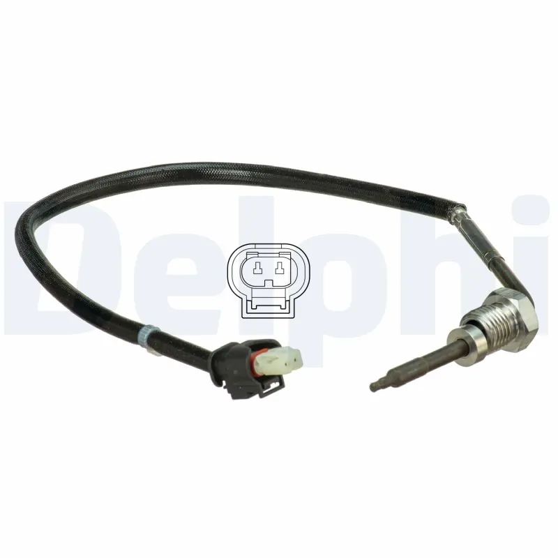 DELPHI TS30098